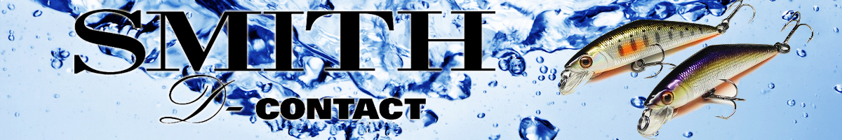 Smith D-Contact 85