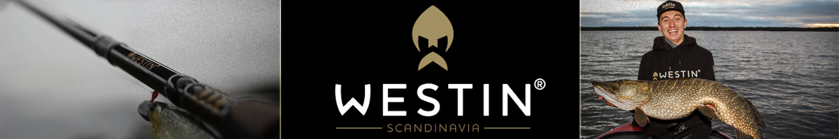 Westin W3 MonsterStick-T 2nd