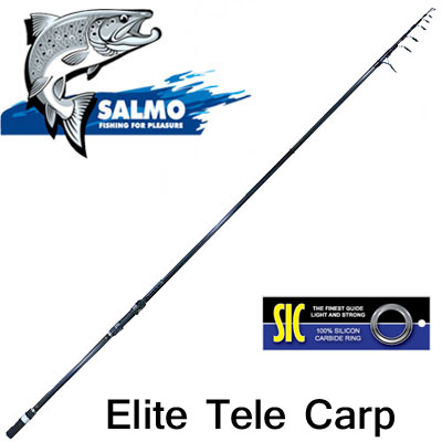 Salmo Elite Tele Carp 