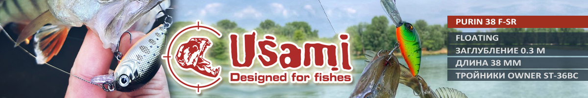 Usami Purin 38 F-SR