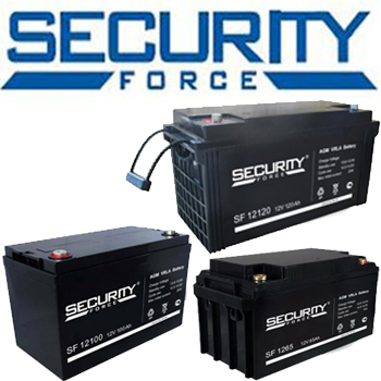Security Force