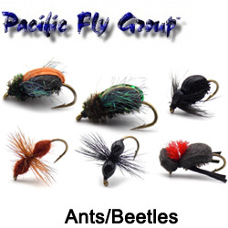 PFG Ants/Beetles