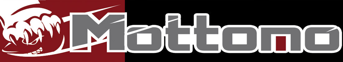 Mottomo