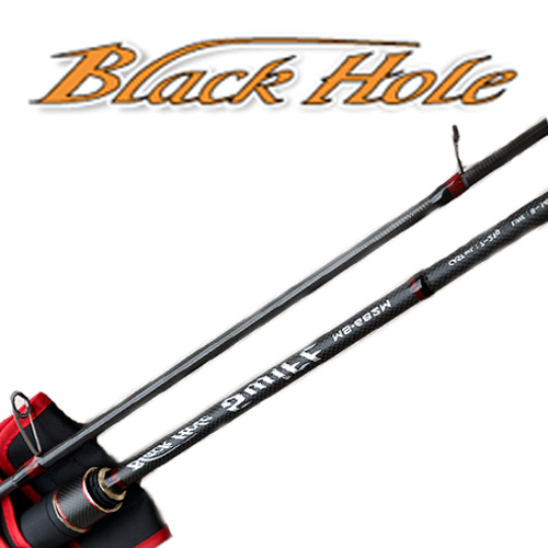 Black Hole Swift MC casting