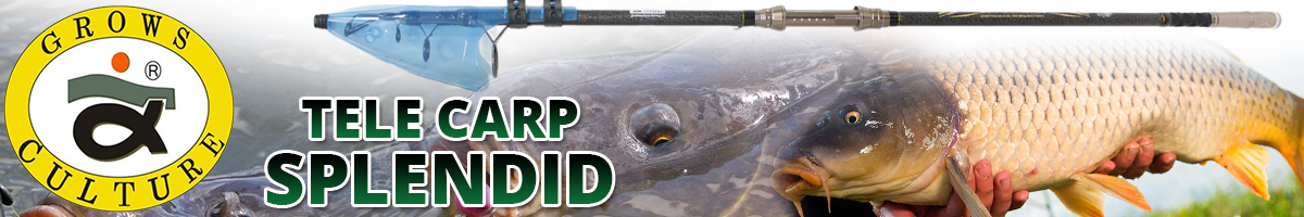 Grows Culture Tele Carp Splendid