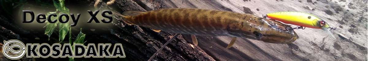 Kosadaka Decoy