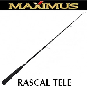 Maximus Rascal Tele
