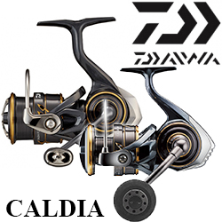 Daiwa Caldia