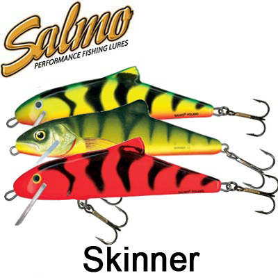 Salmo Skinner