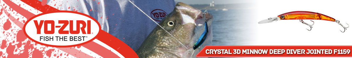 Yo-Zuri Crystal 3D Minnow Deep Diver Jointed F1159