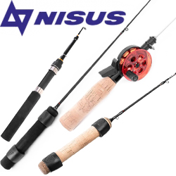 Nisus