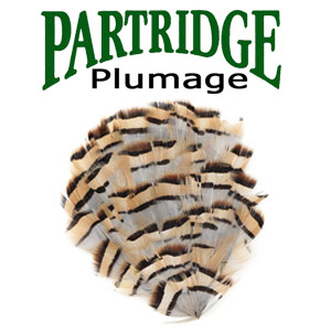 Partridge Plumage