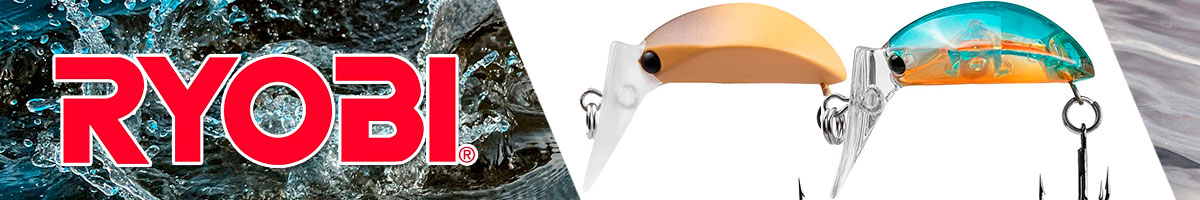 Ryobi Leech FF0251F