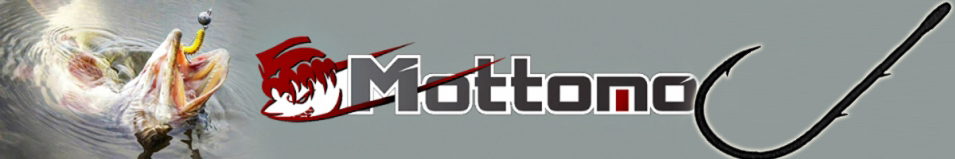 Mottomo JS-12
