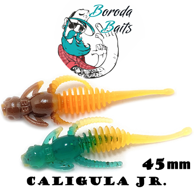 Boroda Baits Caligula Junior