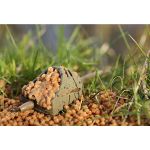 Кормушка Guru Hybrid Pellet Feeder Small inline 30гр GPF30