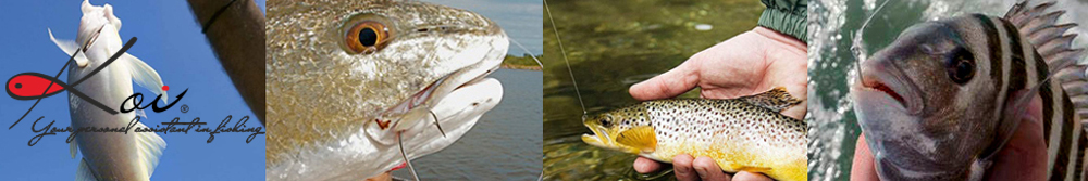 Koi Single Spoon Hook