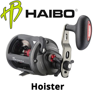 Haibo Hoister