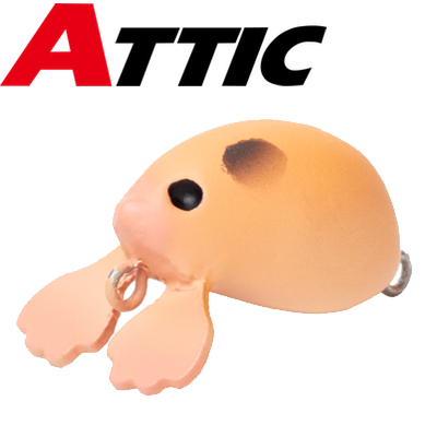 ATTIC