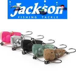 Jackson 