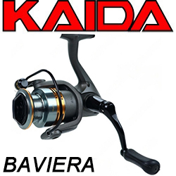 Kaida Baviera
