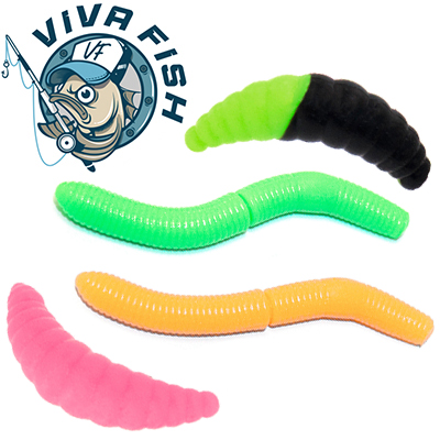 Viva Fish