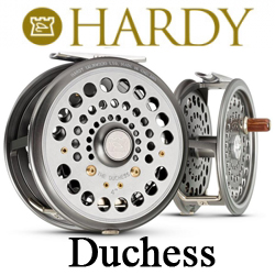 Hardy Duchess