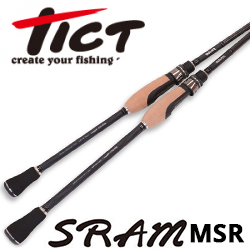 Tict Sram MSR