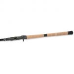 Кастинговое удилище Tailwalk Wide Power Bow 80 (2,44 м, тест МАХ 100 гр.)