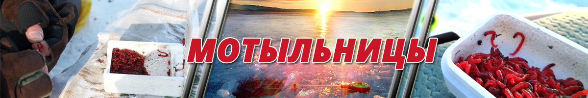 Мотыльницы