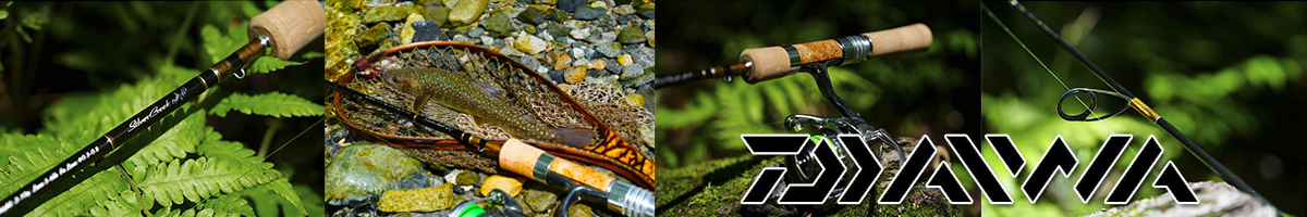 Daiwa Silver Creek Trad