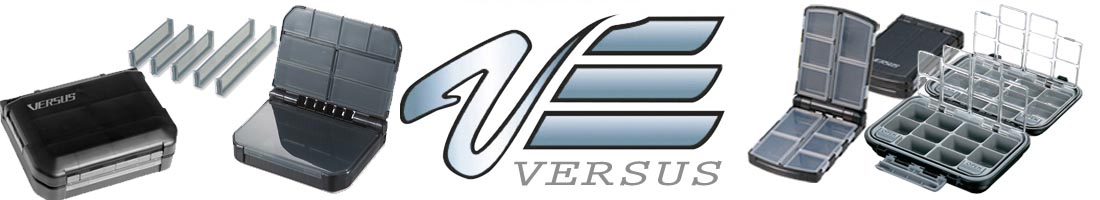 Versus VS-318DD