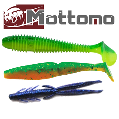 Mottomo