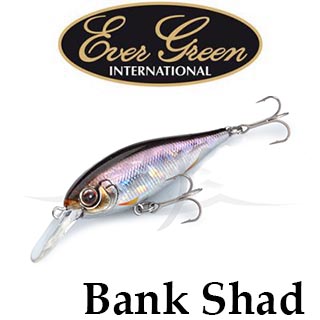 Ever Green Bank Shad