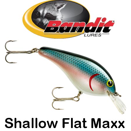 Bandit Shallow Flat Max            