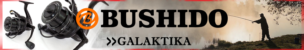 Bushido Galaktika