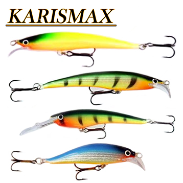 Karismax