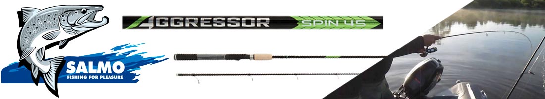 Salmo Aggressor Spin 45