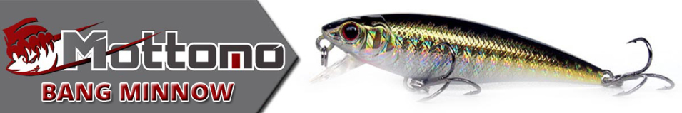 Mottomo Bang Minnow 65F
