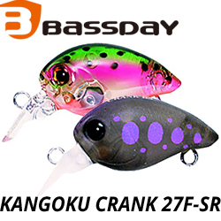 Bassday Kangoku Crank 27F-SR