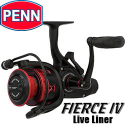 Penn Fierce IV Live Liner