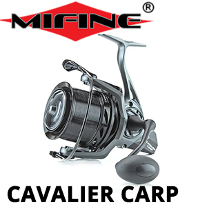 Mifine Cavalier Carp