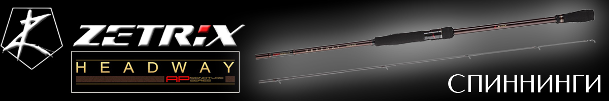 Zetrix Headway