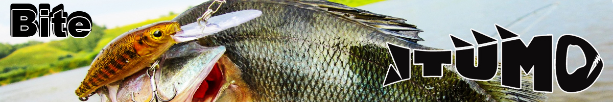 Itumo Bite 110F