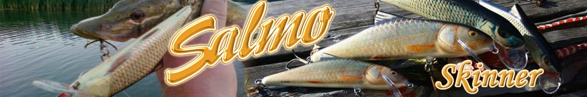 Salmo Skinner 200F