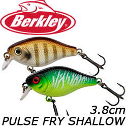 Berkley Pulse Fry Shallow 3.8cm