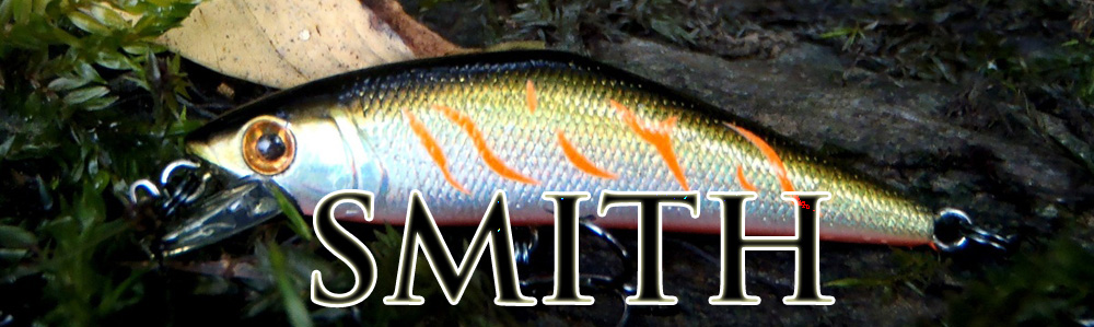 Smith D-Contact 50