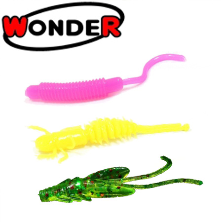 Wonder