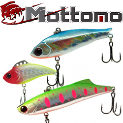 Mottomo