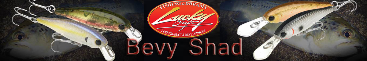 Lucky Craft Bevy Shad